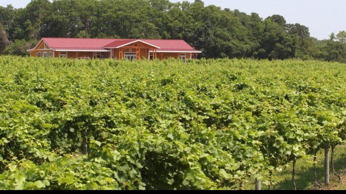 Comedy Show At Willow Creek Winery Events Pressofatlanticcity Com