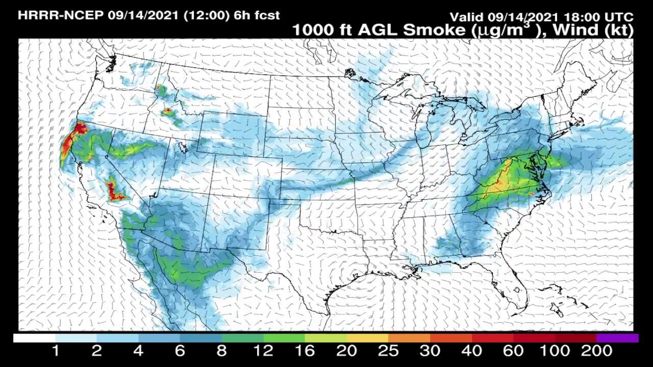 1 000 AGL Smokwe