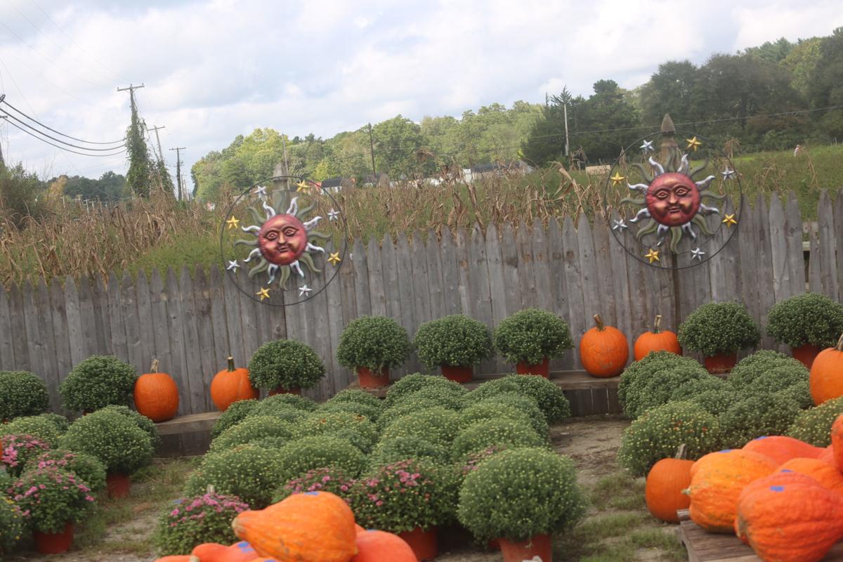GALLERY At Butterhof's shady Brook farm