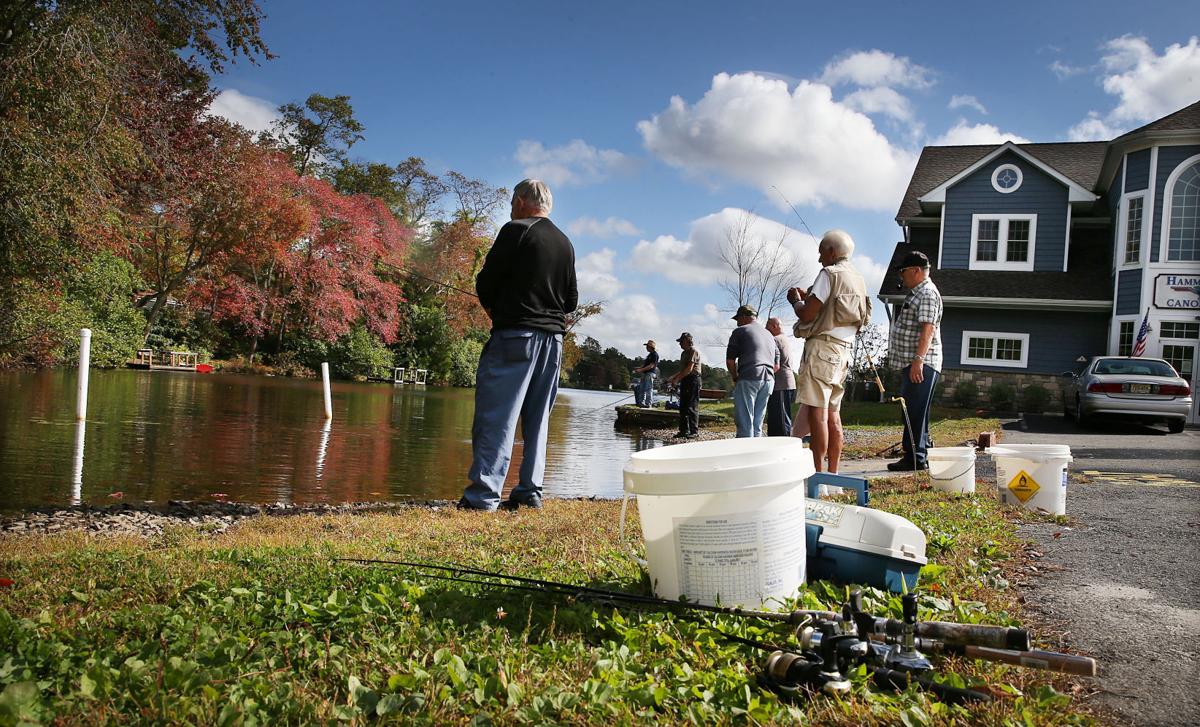 Hammonton Lake Trout