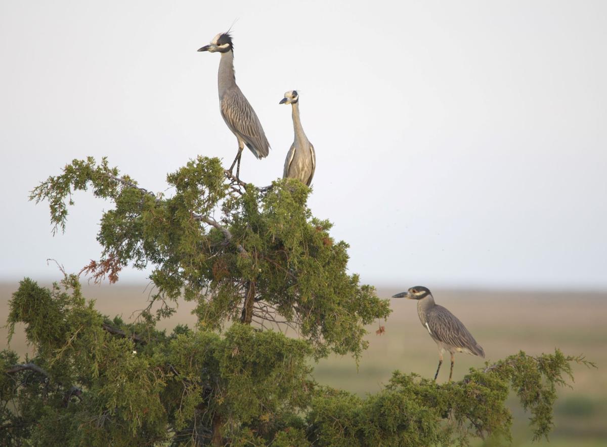 Photography Spotlight: June 15