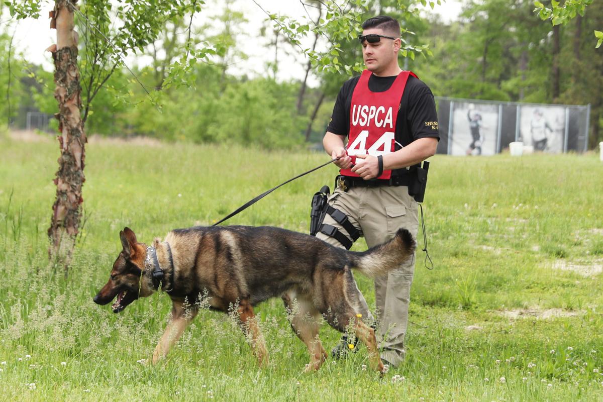 stockton officer canine partner take