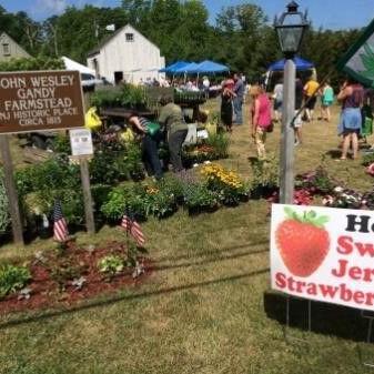 Upper Township to hold strawberry festival: Hometown briefs - Vimarsana News
