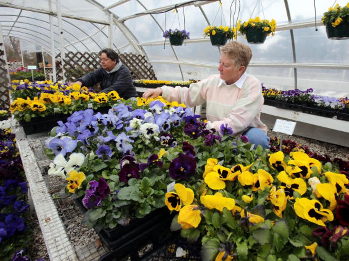 Late Winter Means More Work For Cape May Gardening Center Business Pressofatlanticcity Com