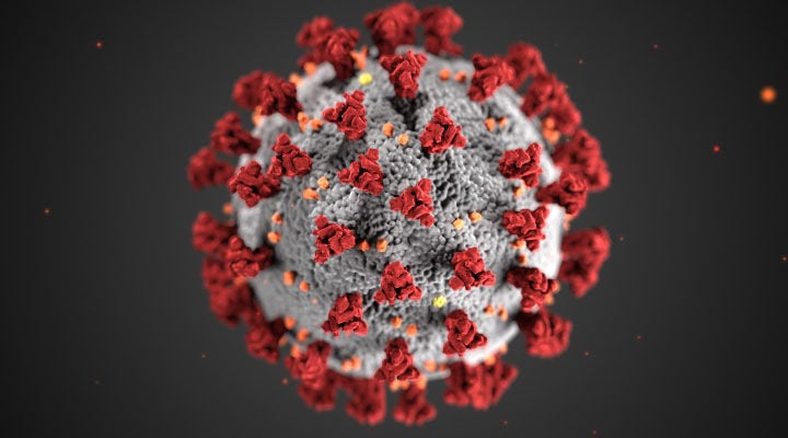 Coronavirus COVID-19 file art