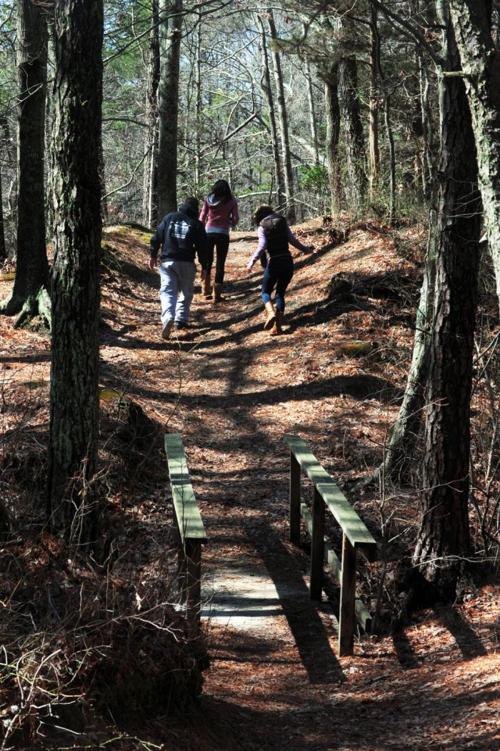 birch grove park