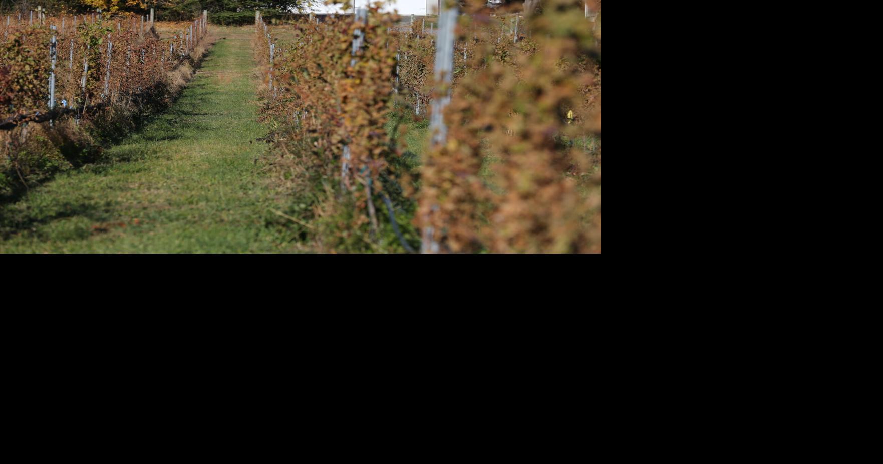 Beesleys Point neighbors seek to stave off change