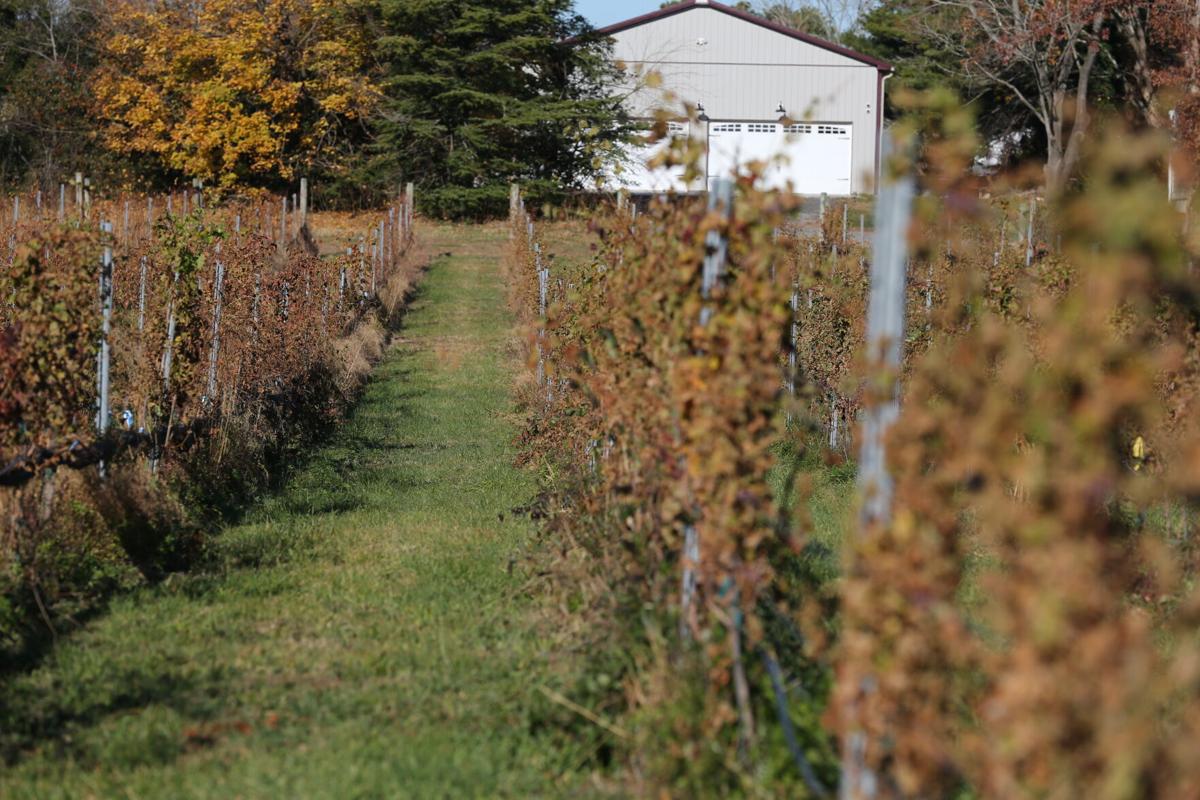 Upper Township vineyard