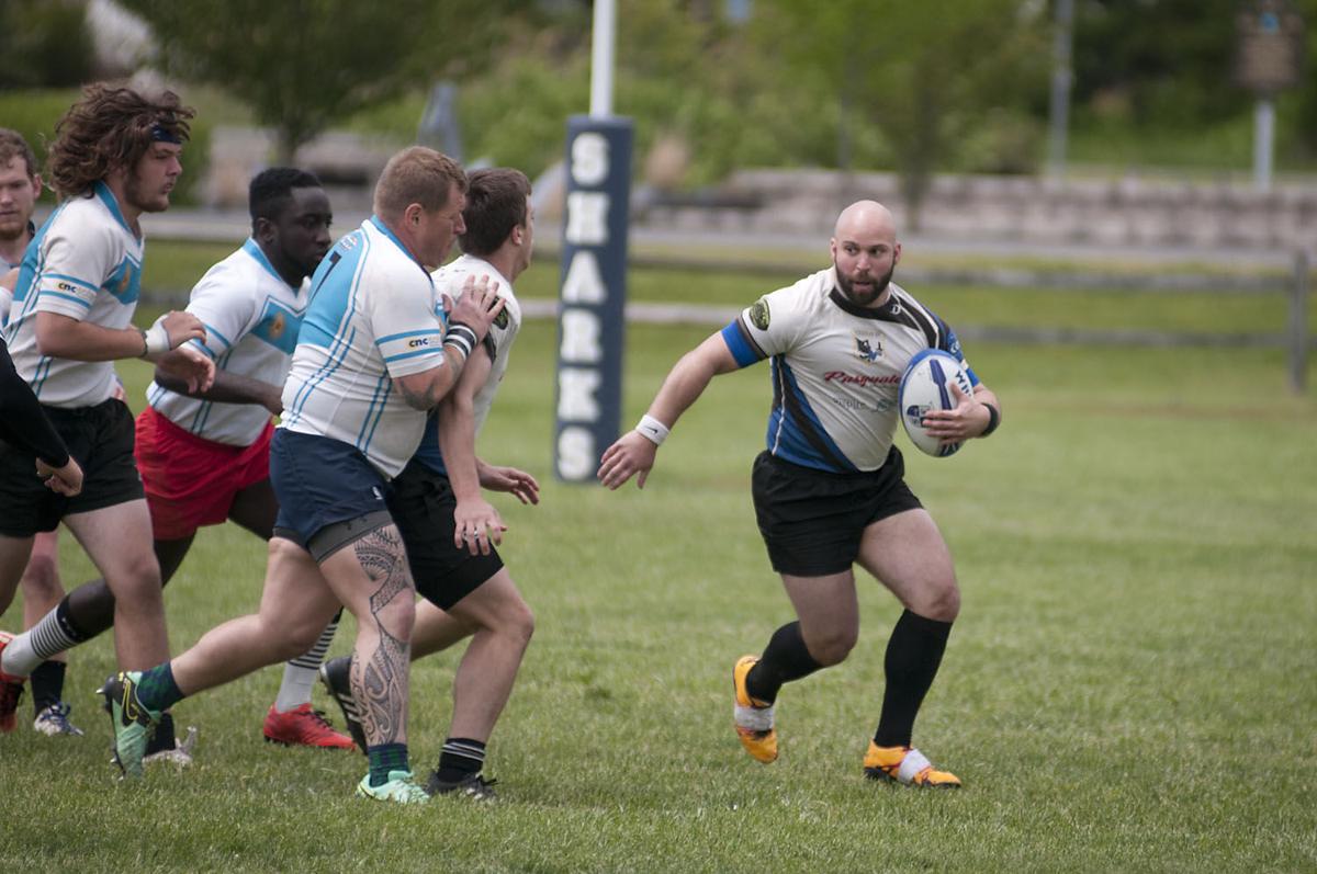 Galloway Rugby