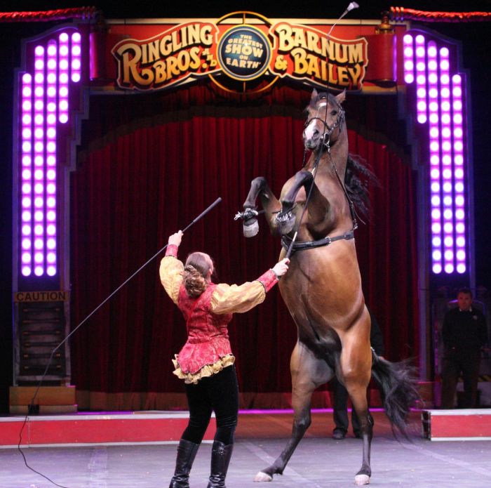 circus