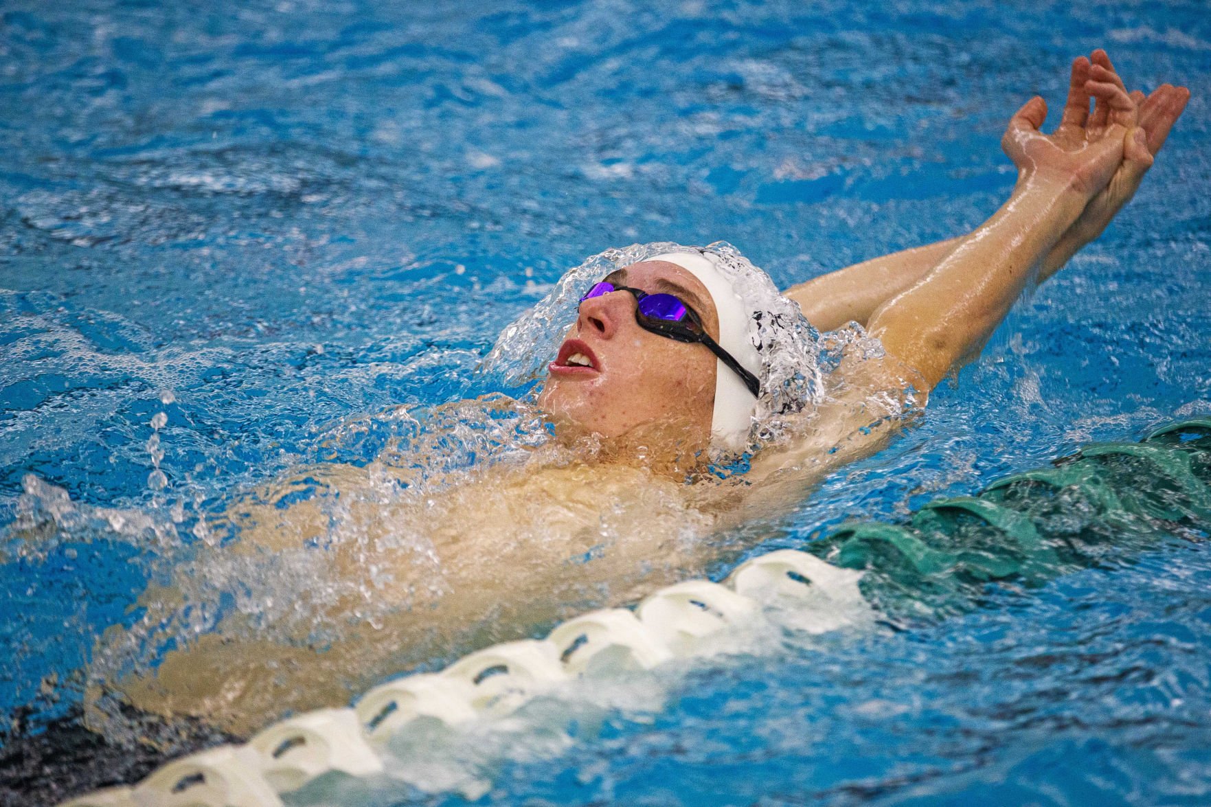 tigers jersey swimming club