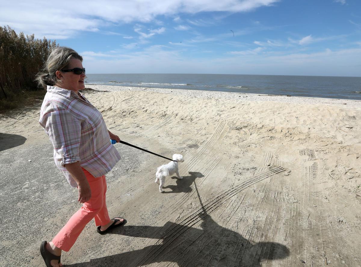 Delaware Bay Estuary Conservation