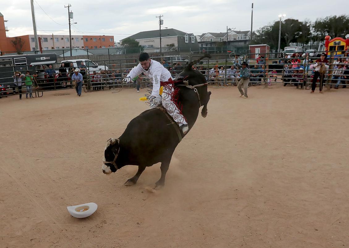 Rodeo Wildwood