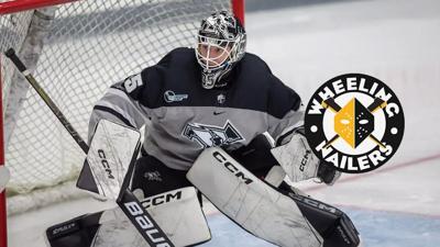 Svedebäck joins Nailers