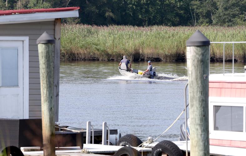 Along the Tuckahoe River, a hidden world revealed