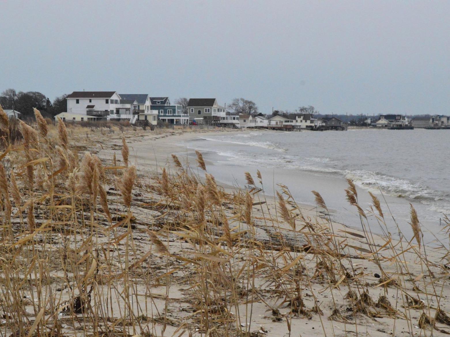 Middle Planning Eco Tourism Improvements At Reeds Beach Latest Headlines Pressofatlanticcity Com