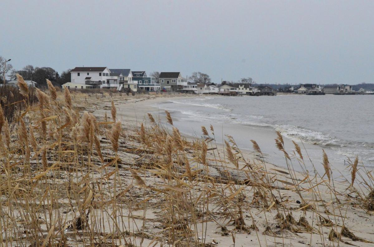 Middle planning ecotourism improvements at Reeds Beach News