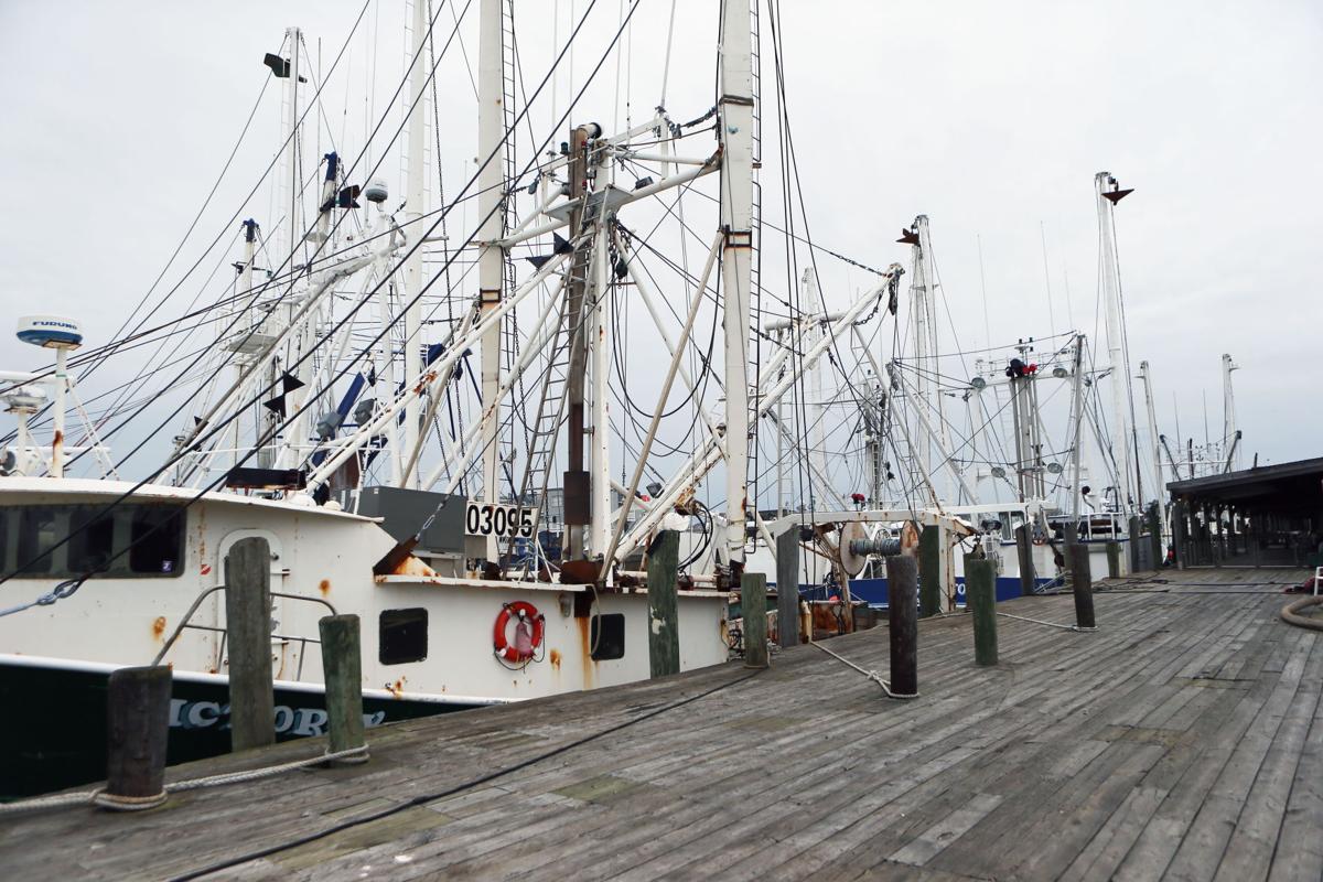 how safe is the fishing industry in south jersey? latest