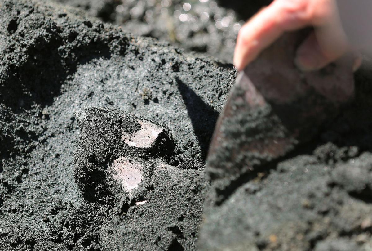 fossil digging near me