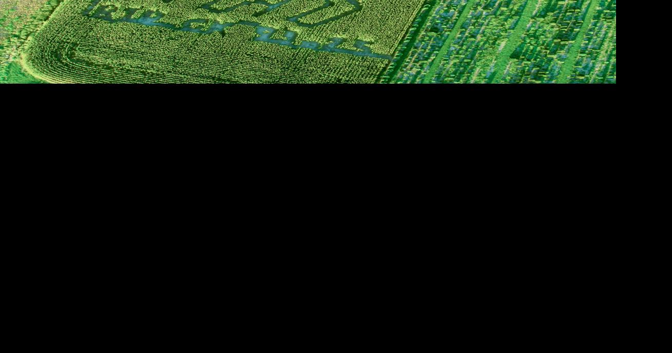 Indiana's Goebel Farms chooses Charlie Kirk image for corn maze