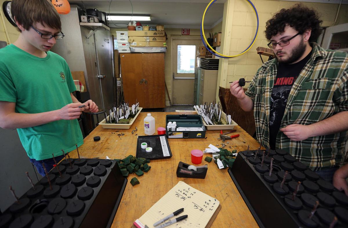Cape May Tech Agricultural Students Get A Plum Assignment Local