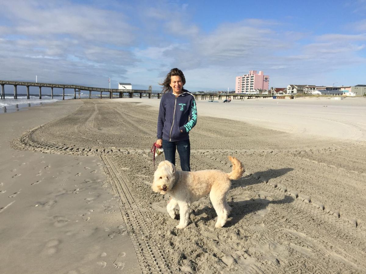 ocean city councilman drops summer dog beach idea cape may county