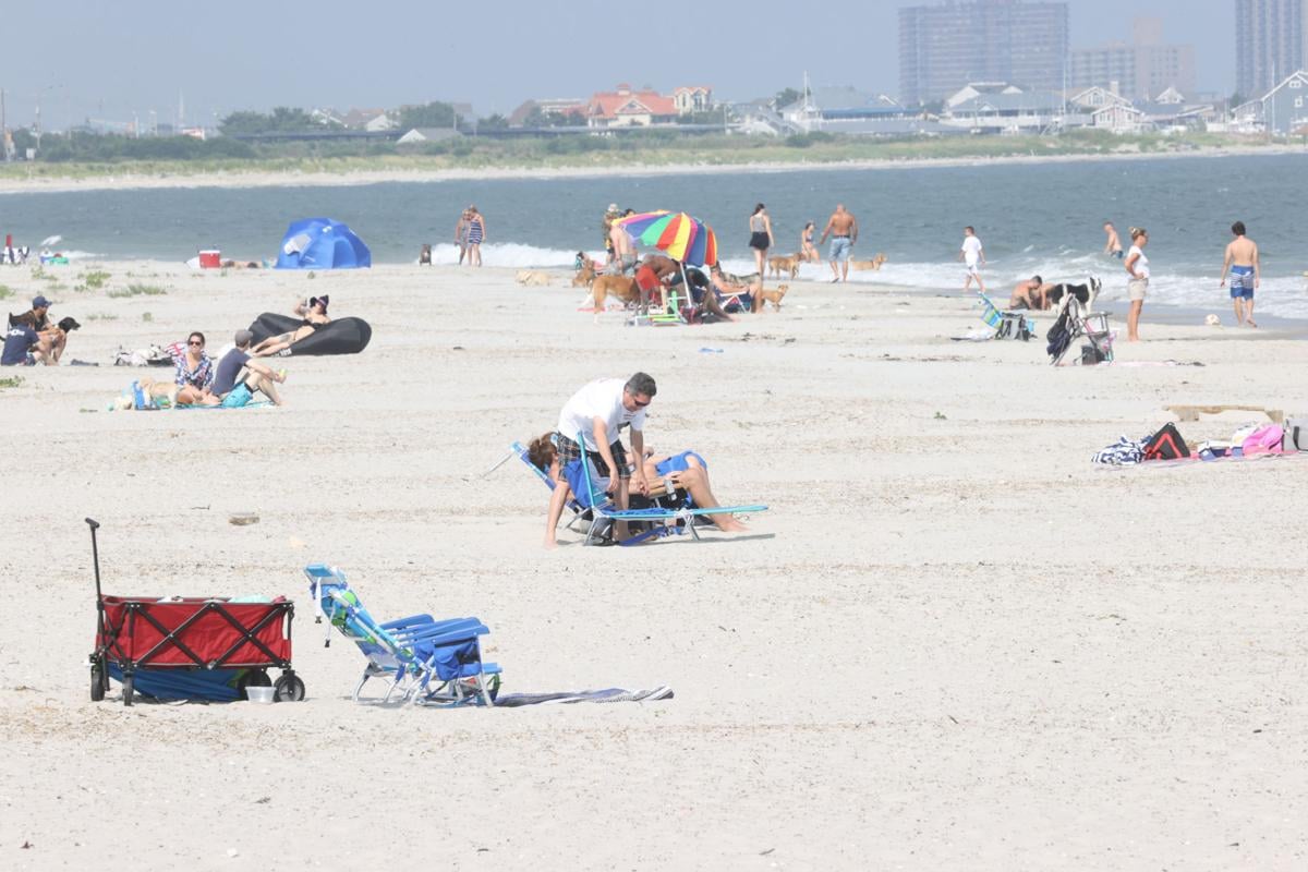 Dog beach