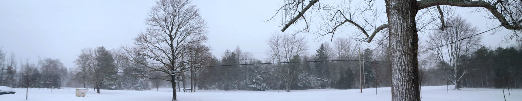 Snow Saturday