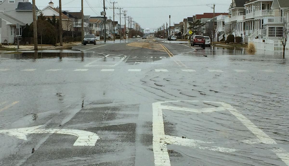 Stella in Ocean City