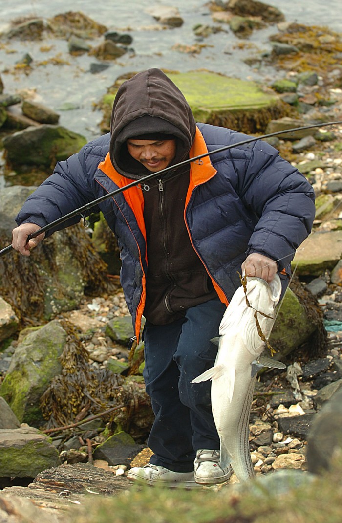 fish advisories