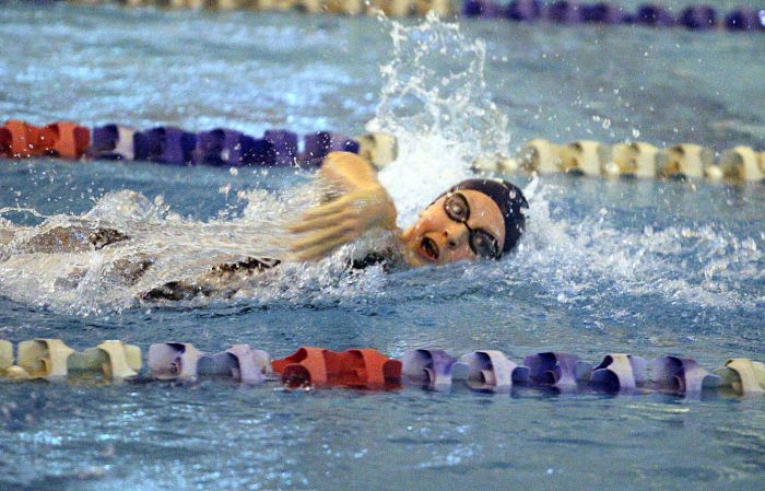 SJ Public A swimming final