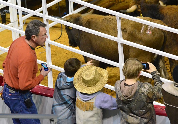 friday night rodeo