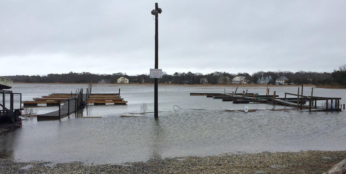 Stella in Somers Point