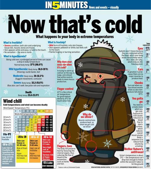 What happens to your body in extremely cold temperatures Weather