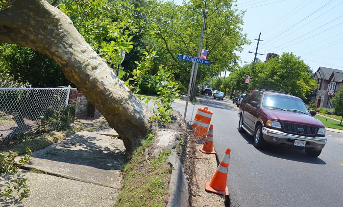 storm cleanup