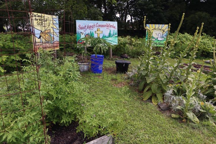 Community Garden in Pleasantville