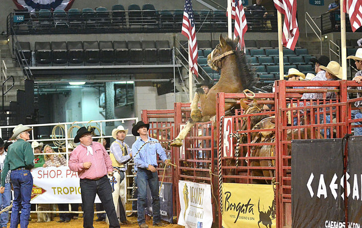 boardwalk rodeo