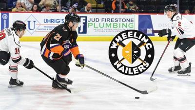 Cook agrees to terms with Nailers