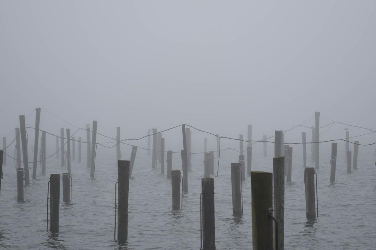 Photography Spotlight: July 13