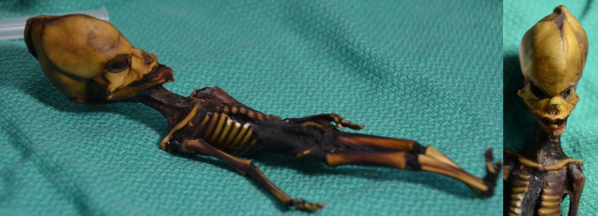 a tiny skeleton found in chile might look like