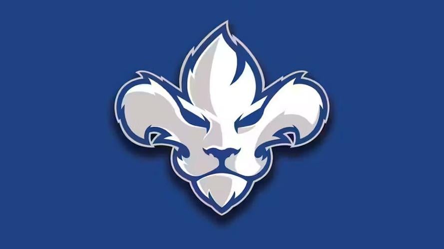 Tesink agrees to terms with Lions