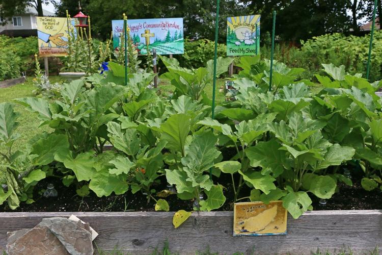 Community Garden in Pleasantville