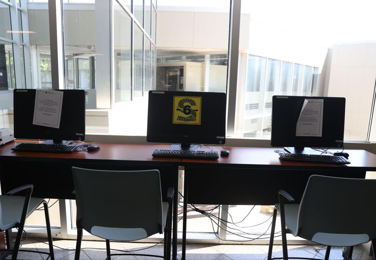 Stockton Student S Background Image During Zoom Meeting Leads To Formal Complaint Education Pressofatlanticcity Com