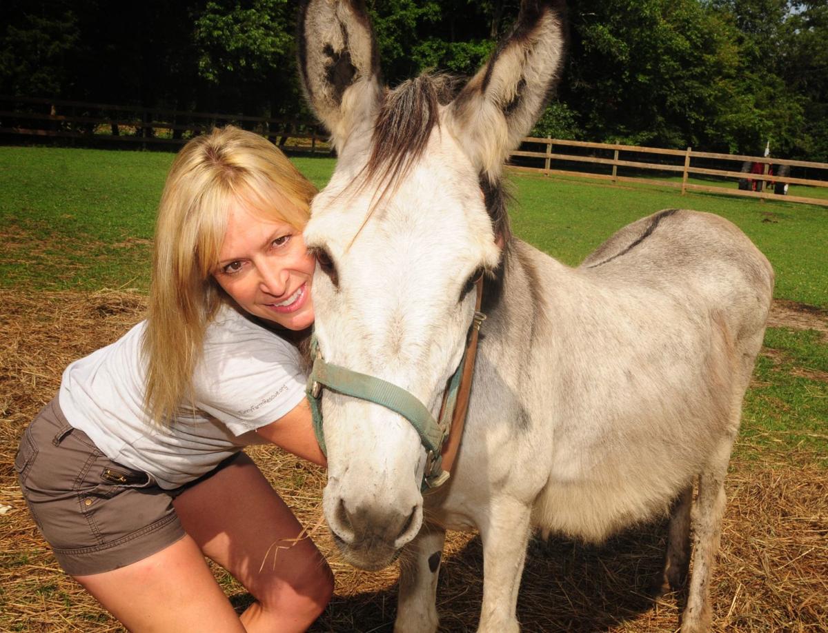 South Jersey farm rescues helping animals, community | News | pressofatlanticcity.com