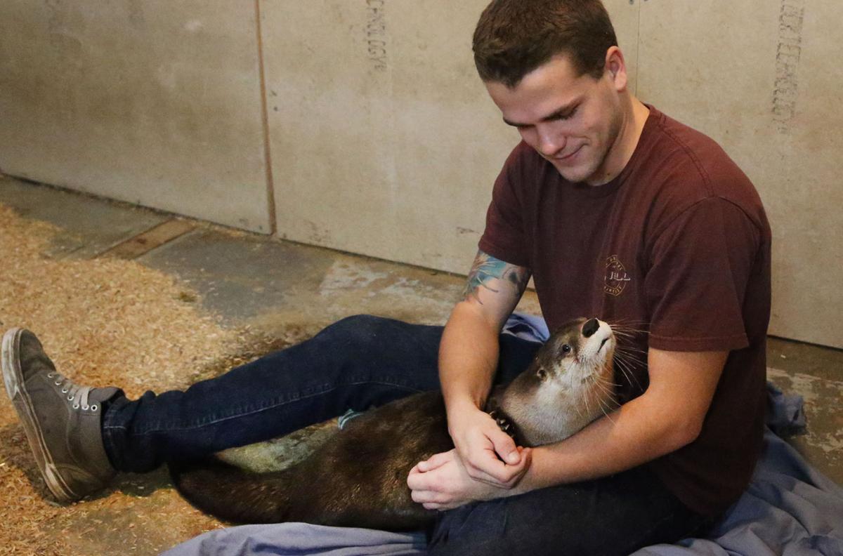 NJ Nature Animal Rescue