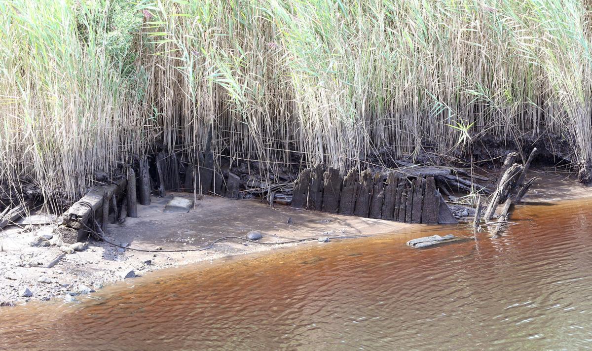 Along the Tuckahoe River, a hidden world revealed News