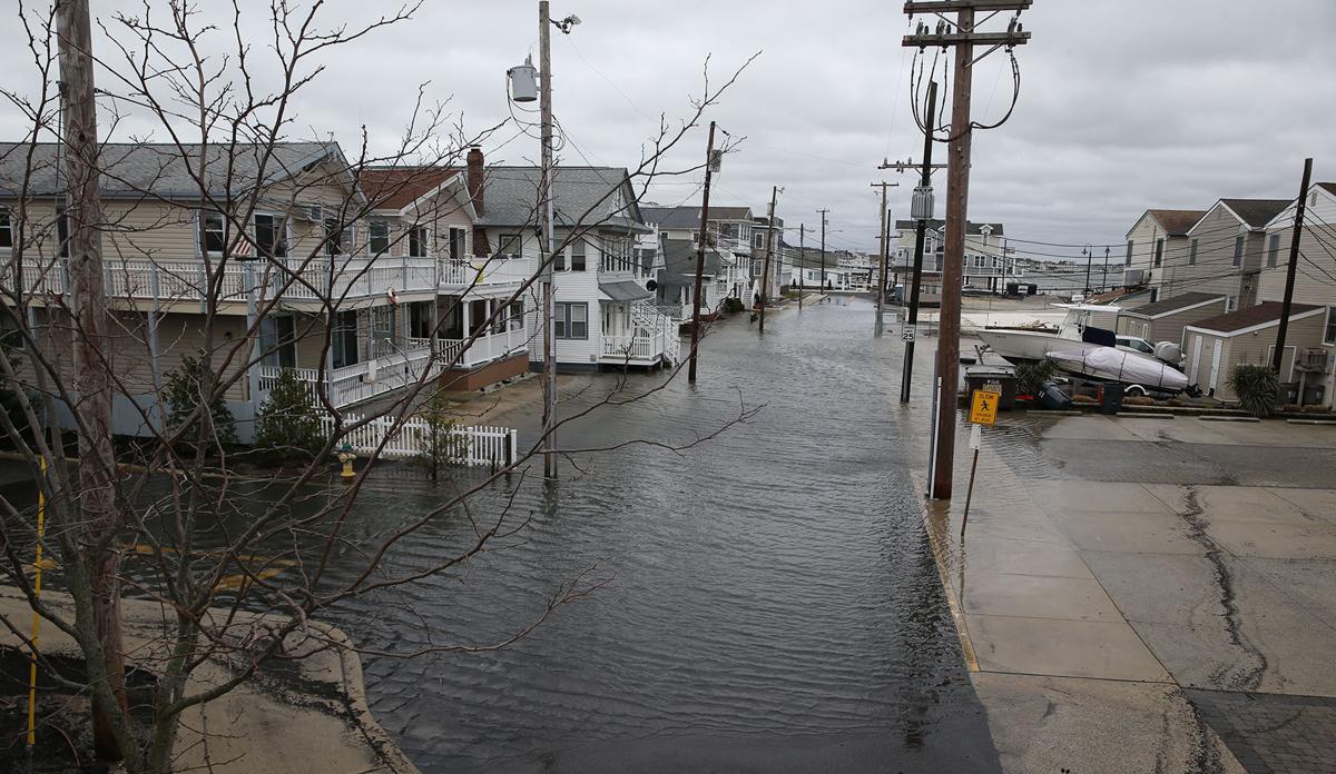 Stella in Ocean City