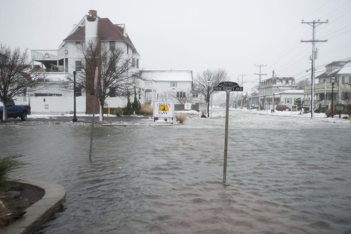 January Storm Photos