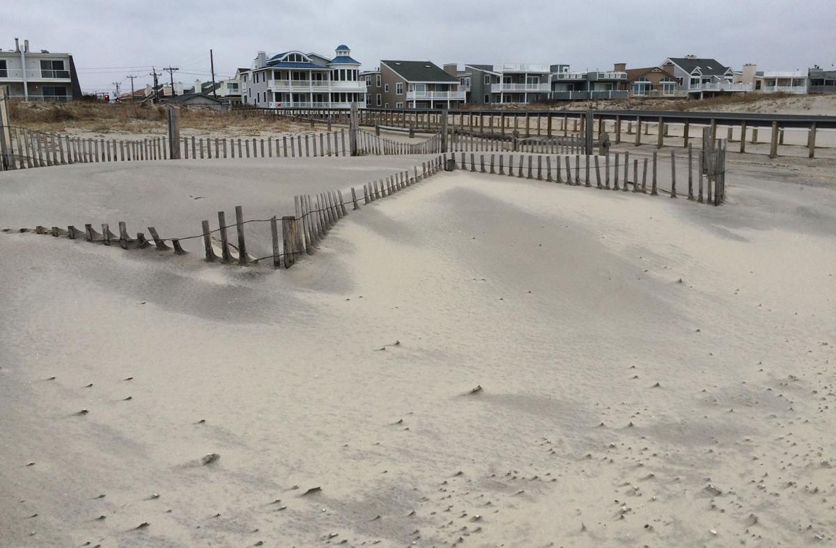 Stella in Ocean City