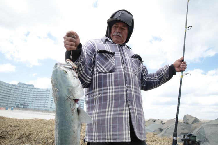 Bluefish surge in South Jersey, 'epic right now